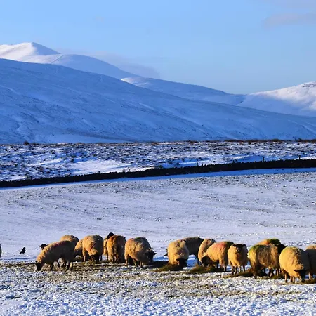 אכסניה 2 Bed In Wigton Oc-80562 *