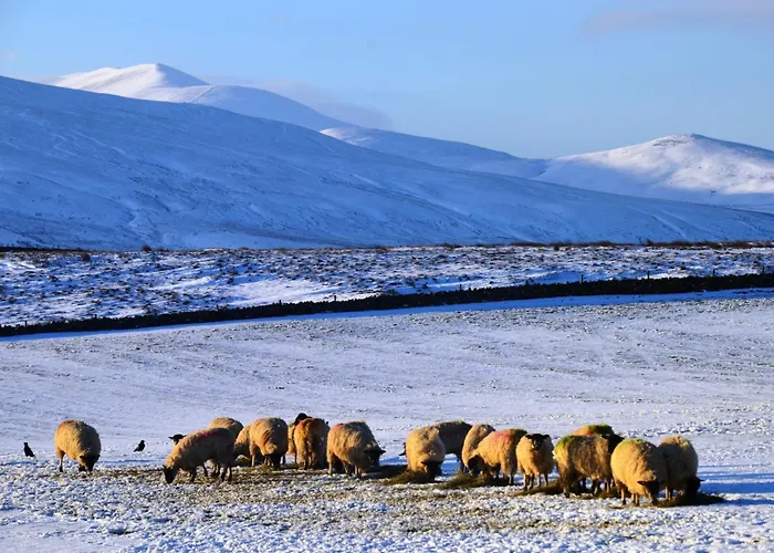 אכסניה 2 Bed In Wigton Oc-80562 *